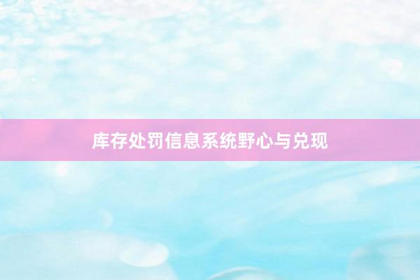库存处罚信息系统野心与兑现