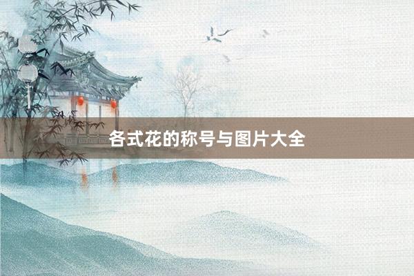 各式花的称号与图片大全